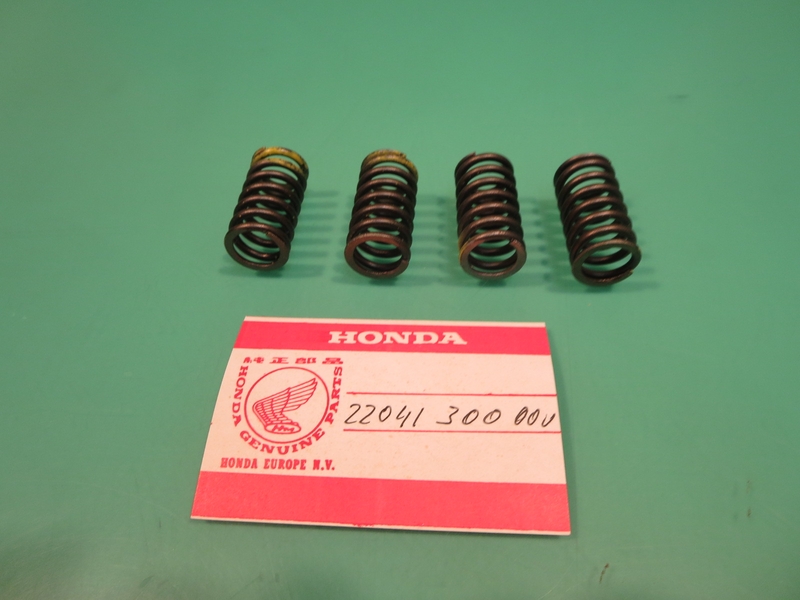 Kupplungsfedern Satz