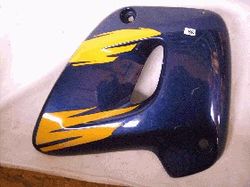 Kühlerverkleidung, rechts